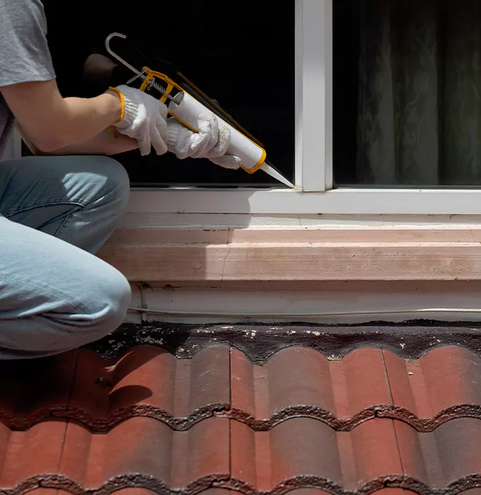 Roof Window Services in Pleasant Hill, California