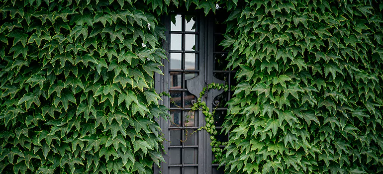 Garden Gate Repair in Pleasant Hill, CA