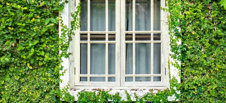 Garden Window Repair Near Me in Pleasant Hill, CA